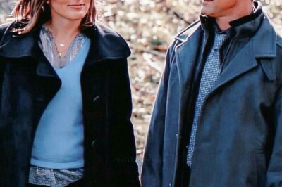Law & Order: Organized Season 5 Shows Exactly Why Stabler Coming Back To SVU Is A Bad Idea