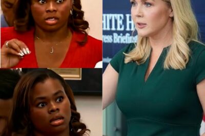 BREAKING: Karoline Leavitt Shuts Down Reporter Over L.A RI0T Lies—And What She Said Left the Room in Sh0ck