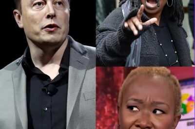M.S.N.B.C Changes Hands! Elon Musk Officially Owns M.S.N.B.C, Determined to “Clean Up” the Celebrity Defamation Experts on The View