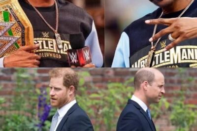 Prince William and Harry’s Feud Could Finally Be Fixed by an Unlikely Ally — Snoop Dogg: What is the rapper’s plan?