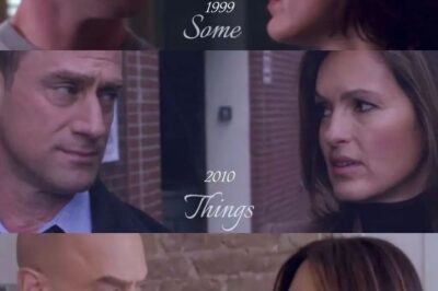 Why Benson & Stabler Are Still Not Together In The Law & Order Franchise Can Be Blamed On 1 Person
