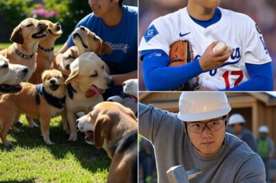 Act of love goes viral: Shohei Ohtani announces he will invest $13.6 million to build a “paradise” dedicated to rescuing stray dogs, promising love and homes to thousands of abandoned puppies…