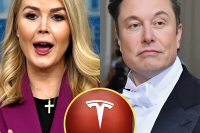 Karoline Leavitt warns: Elon Musk must withdraw and sell all shares to save Tesla!