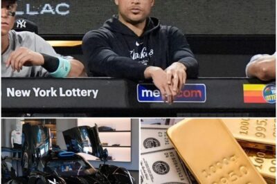 The richest man in the New York Yankees was surprised by the name Giancarlo Stanton, the side job behind the MLB lights helped this player own a mysterious fortune…