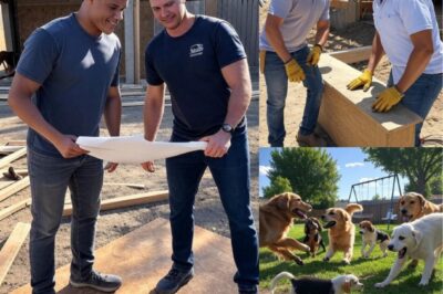 BREAKING NEWS: Juan Soto and Pete Alonso team up to build a £210 million animal rescue shelter for abandoned pets, providing them with a safe haven and the best care—Find out why this heartwarming mission has everyone talking right now!