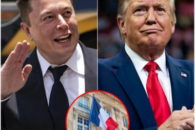 Elon Musk decided to leave all his assets in the United States to move to France after a heated battle with Donald Trump: “I WILL NOT STAY TO BE SUPPRESSED AND SILENCED BY THOSE WITHOUT VISION!”