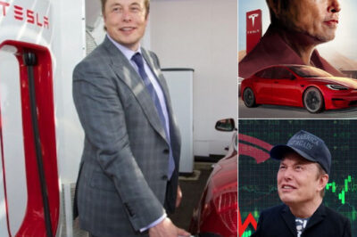 Tesla Bull Slams Board in Urgent Plea—Elon Musk’s Savage Response Ignites Chaos