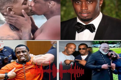 COURTROOM CHAOS: DIDDY COLLAPSES After BOMBSHELL Audio Leak Involving Meek Mill, Will Smith & T.D. Jakes! Tears, Screams & SHOCKING NAMES—You Won’t Believe What Was Heard on That Tape