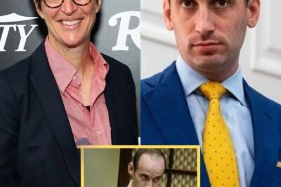 Rachel Maddow PUBLICLY HUMILIATES Stephen Miller Live On-Air After Bombshell Scandal Involving His Wife ERUPTS!