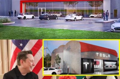 Elon Musk’s Bold Move: Tesla Launches Its First Showroom in India