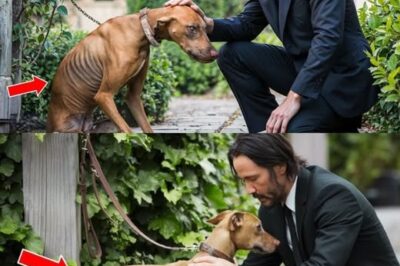 Rich Man Mistreats His Dog Often, Unaware That Keanu Reeves Is His NEW Neighbor! Keanu Reeves is not just a movie star, but a true hero for abandoned dogs. Discover this heartwarming rescue journey!