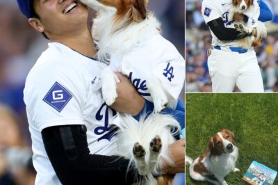Shohei Ohtani Melts Hearts with His First Children’s Book — Inspired by the Dog That Changed His Life