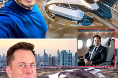 Elon Musk Destroys the Earth: Tesla’s First Aircraft Ever Goes On Flight