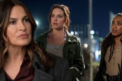 Law & Order SVU Latest News Shocking Twists and Cast Updates Fans Need to Know