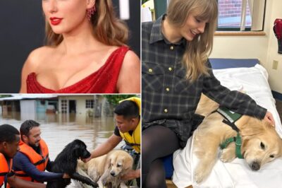 SH0CKING UPDATE: Taylor Swift donates $30 million for Texas flood relief — Thousands of dogs rescued, Search and Rescue teams deployed, and a Mobile Rescue Camp on the ground!