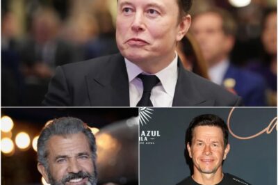 Hollywood Shake-Up: Mel Gibson and Mark Wahlberg Join Forces with Elon Musk to Launch a $1–$3 Billion “Non-Woke” Film Studio Focused on Traditional Family Values — Is This the Future of Entertainment or a Cultural Flashpoint?
