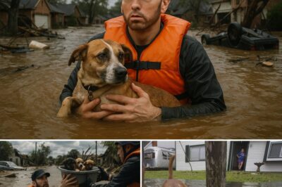 Unforgettable scene: Eminem quietly rescues a mother dog and her pups from Texas floodwaters—the owner breaks down in tears, unaware a legend was saving her family’s lives.