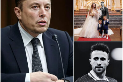 10 MINUTES AGO: “A great player has left us” – Elon Musk shocks the world with heartfelt tribute and $500 million pledge to Diogo Jota’s wife and children after tragic accident stuns football community