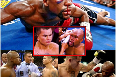 MAYWEATHER KNOCKED OUT IN UNDER 10 SECONDS?! Watch the shocking footage