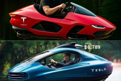 Recent statements from Tesla CEO Elon Musk have sparked widespread speculation about Tesla entering the flying car market, and the $6,789 Tesla Flying Car is both shocking and worth considering