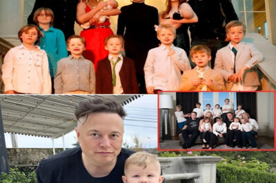 Billionaire Elon Musk is now the father of 11 𝘤𝘩𝘪𝘭𝘥ren after having a third 𝘤𝘩𝘪𝘭𝘥 with ex-girlfriend Grimes – ‘Doing my best to help the underpopulation crisis’