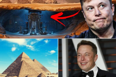 Musk Is The Key To Unlocking Secrets Of The Great Pyramids Of Egypt