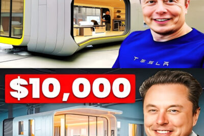 How Elon Musk’s $10,000 Boxable House is Revolutionizing Affordable Housing