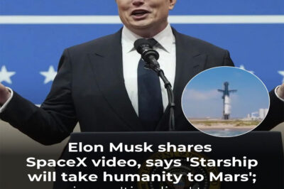 SpaceX aims to launch around 1,000 to 2,000 Starships every two year. The company plans to transport people and cargo in order to establish a permanent settlement on the planet.