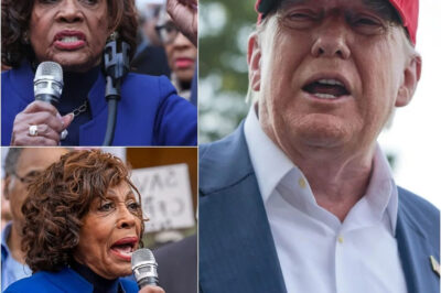 BREAKING: Maxine Waters denounces Trump administration after dozens of Democrats arrested in massive fraud probe – Trump was RIGHT it proved that…