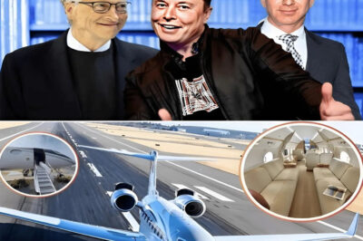 BREAKING: Looking at the $65 million plane of the world’s top billionaires Elon Musk and Bill Gates and Jeff Bezos: Near supersonic speed, private luxury cabin, Gulfstream G650ER is one of the fastest and longest-range commercial aircraft in the world.