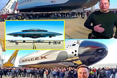 The Future Is Here: Elon Musk Unveils Hypersonic Spacecraft That Blurs the Line Between Sci-Fi and Reality