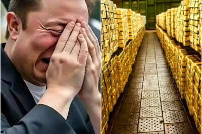 Elon Musk and DOGE Team to Audit Money Sent to Ukraine: “I Do Nothing for Politics, I Do What’s Right”