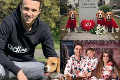 After Diogo Jota’s sudden passing, his family’s three beloved dogs become visibly sad, refusing to eat for days. The dogs’ actions by Jota’s grave move and heartbreak everyone