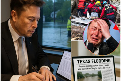 One Click, One Flame of Hope: Elon Musk and the Texas Flood Relief Campaign