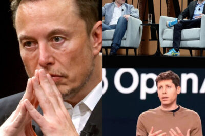 Chat GPT’s Ceo, Sam Altman just turned down a $100-billion offer from Elon Musk to buy Chat GPT