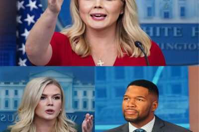 “Big Mistake.” — Karoline Leavitt Silences Retired NFL Star in Brutal Showdown That Broke the Internet One line. One moment. Karoline Leavitt didn’t flinch — and the retired NFL star never saw it coming. Her fierce clapback left the studio speechless… and the internet on fire.
