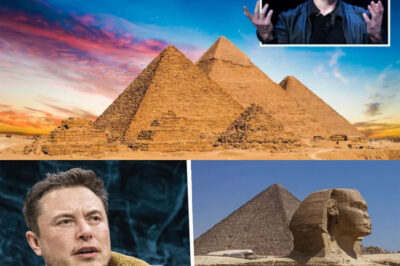 How Elon Musk May Be Using Ancient Egyptian Knowledge to Revolutionize Space Exploration.