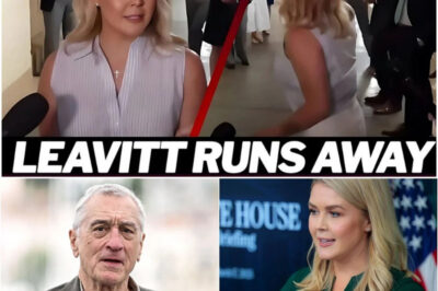 “Sit Down, Barbie — You’re Not a Role Model for Anyone.” Robert De Niro Exposes Karoline Leavitt With One Cold Sentence That Left Her Chair Empty and America Stunned