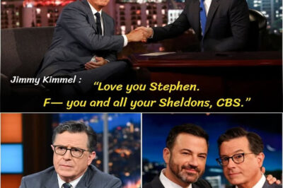 “LOVE YOU STEPHEN. F— YOU AND ALL YOUR SHELDONS, CBS.”
