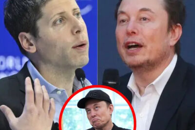 From $2,000 to Billions: Elon Musk’s Journey to Building an Empire