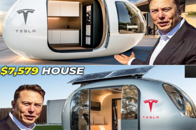 Elon Musk’s $6,975 Tiny House Coming in 2026 Is Making People Go Crazy — How Can a Fully Functional Home Be So Cheap? The Truth Behind It Will Blow Your Mind…
