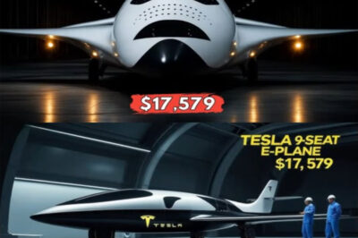 Elon Musk’s $17,579 Tesla Electric Plane Is HERE – You Won’t Believe the Design!