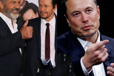 Mel Gibson And Mark Wahlberg Team Up With Elon Musk And Invest $1-3 Billion In A “not-woke” Film Studio Committed To Traditional Family Values