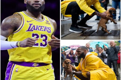 LeBron saved a puppy stuck in a sewer on a rainy day. A subtle action by Lebron James received a lot of admiration along with applause for the “King” of the NBA world. A passerby revealed that Lebron’s next move shocked everyone around.