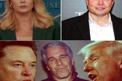 Elon Musk Responds to Karoline Leavitt’s Explosive Remarks About the Epstein List: “The Show’s Not Over — No Idea How Long She Plans to Steer the Narrative”. Elon Musk revealed that he has obtained all the information related to the so-called “missing list,” and teased the release of a name that could shake the entire entertainment industry.