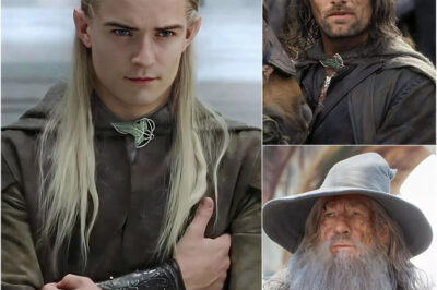 BREAKING NEWS | Orlando Bloom has been approached by Andy Serkis to return as Legolas in the new Lord of the Rings film, Viggo Mortensen has shown interest in returning as Aragorn and Sir lan McKellen revealed that Warner Bros has approached him again to return as Gandalf.