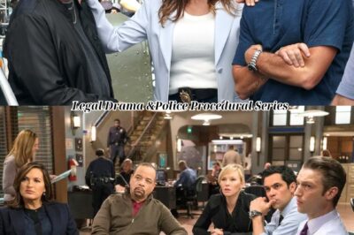 SVU Season 27 Is The Perfect Time For A Season 11 Character To Return