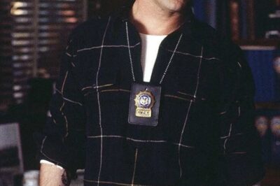 A Stabler-heavy season makes Law & Order: Organized Crime season 6 all the more necessary
