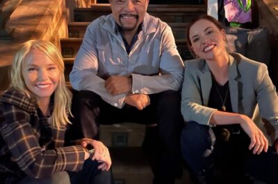 Law and Order SVU Season 26 What Fans Can Expect Next