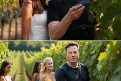 SOCIAL MEDIA ERUPTS: Elon Musk Ditches Tesla and SpaceX to Harvest Grapes with a Sultry Supermodel – Prepares to Launch “The World’s Sexiest Wine”